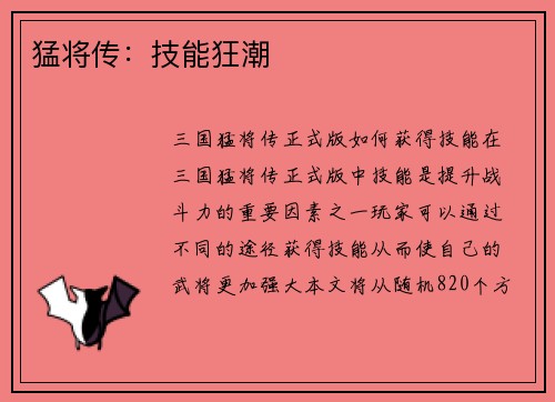 猛将传：技能狂潮
